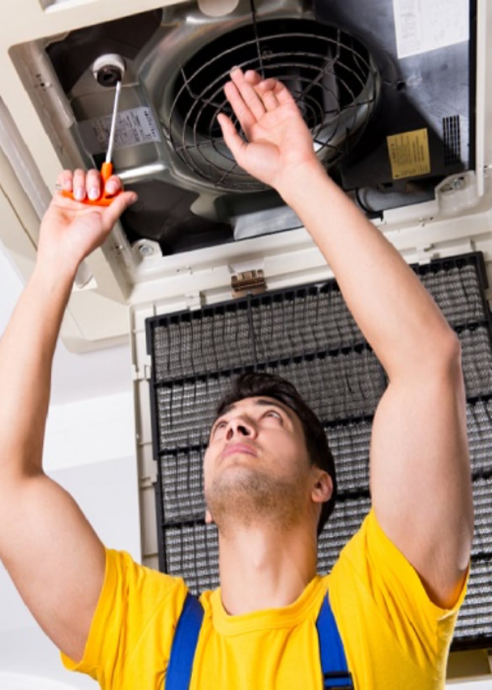 Alt Tag for Image About Left